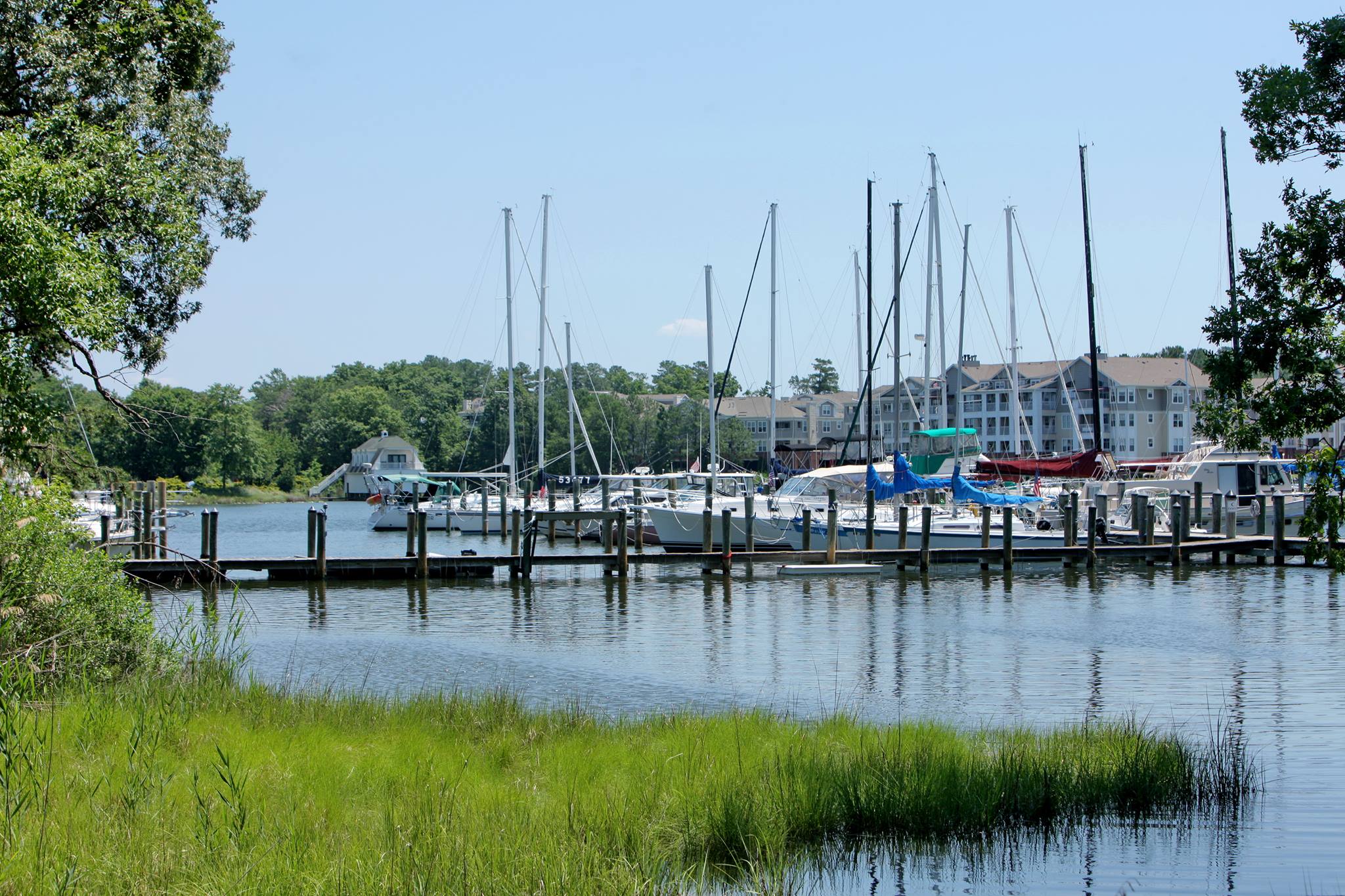 Marina Solomons Island Solomons Inn Resort And Marina Hotel